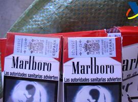 La Agencia Tributaria aprehende medio millón de cajetillas de tabaco de contrabando en Barcelona 