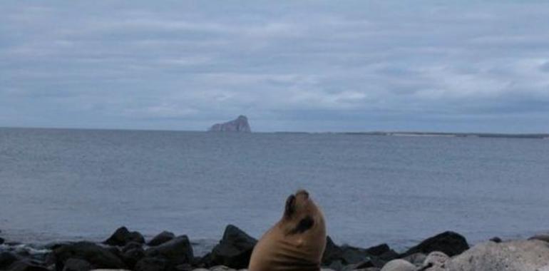 Las Galápagos ganan galardón internacional como “Mejor destino verde de Sudamérica”