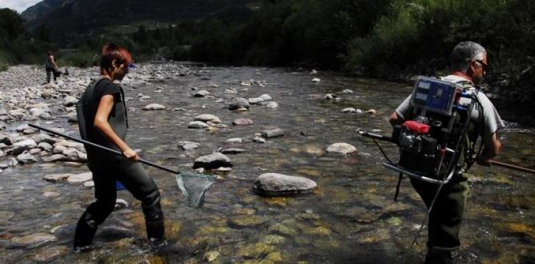  El Consejo de Pesca de Aragón se reúne para preparar la temporada 2013