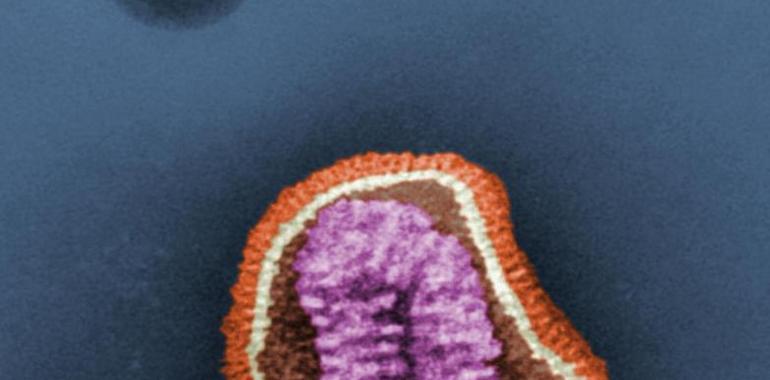 Un modelo matemático permitirá detectar precozmente epidemias de gripe