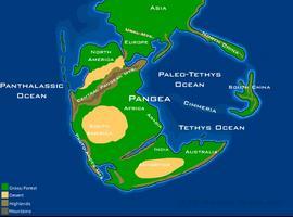 Cien años de Pangea