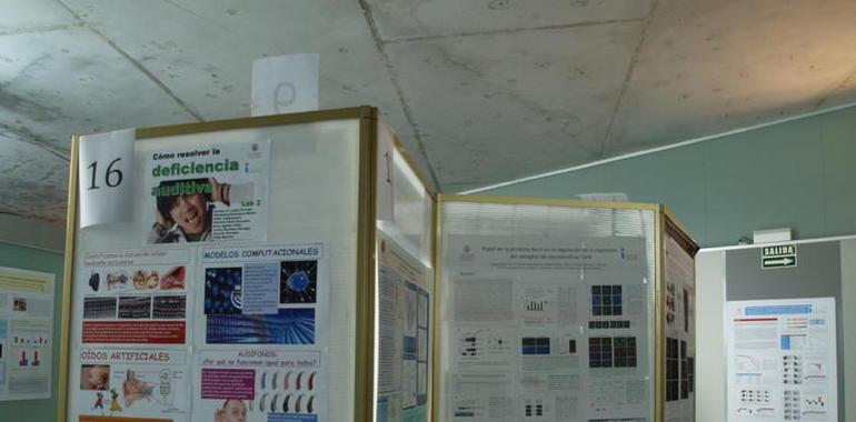 Los científicos avanzan en la búsqueda de tratamientos para el síndrome de Down