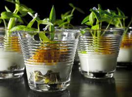 Gastrofestival 2013 discurrirá con Madrid Fusión