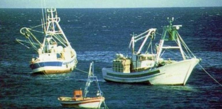 El Ministerio reabre la pesquería del boquerón en el Golfo de Cádiz y sur de Galicia