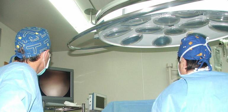 Sanidad equipara los trasplantes de órganos a los de tejidos compuestos 