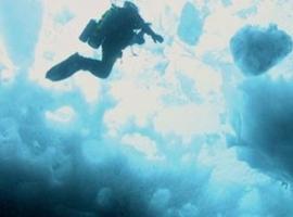 Emocionante buceo bajo el hielo (VIDEO)