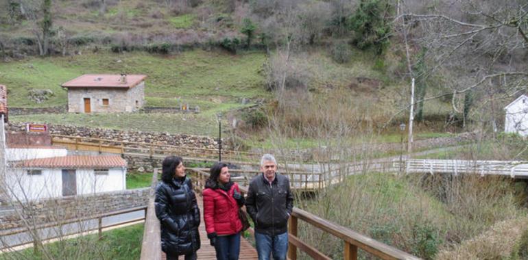 El Principado abona 2,7 millones de euros a los afectados por los daños de la fauna salvaje 