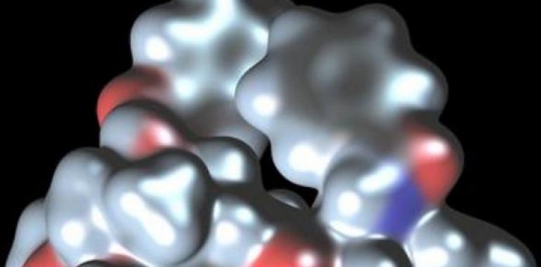 Identificado el ‘escudo protector’ del cáncer gástrico frente a la quimioterapia
