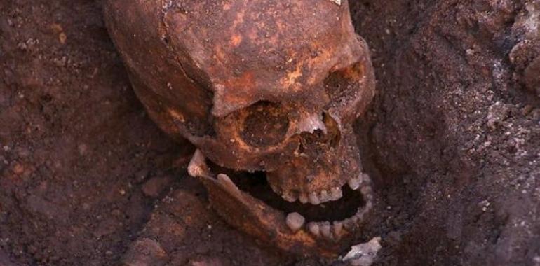 Confirmados los restos de Ricardo III, muerto por un golpe en la cabeza y gran comedor de mariscos