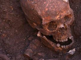 Confirmados los restos de Ricardo III, muerto por un golpe en la cabeza y gran comedor de mariscos