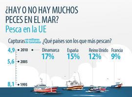 ¿Hay o no hay muchos peces en el mar?