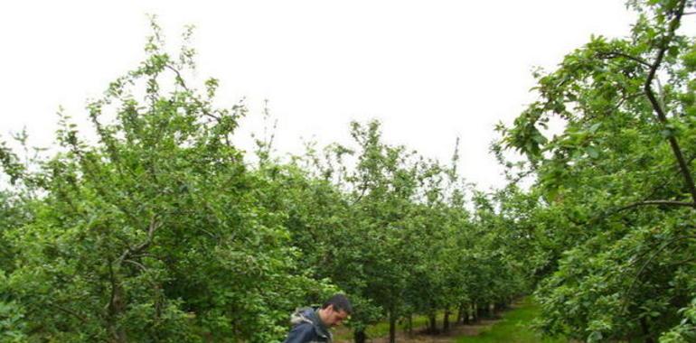 Nuevo  plan formativo rural para agricultores y ganaderos