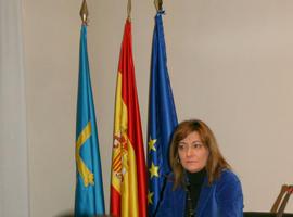 Los centros polivalentes de Moreda y Avilés, y el CAI  de Arriondas abrirán este año