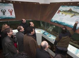 Arredondo, el 'pozu' más salmonero de Cantabria