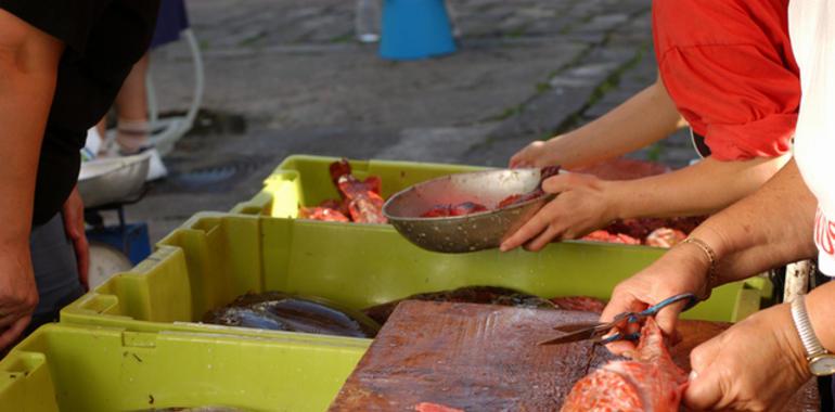 Greenpeace rechaza el reparto de cuotas que perjudica a la pesca sostenible en Asturias