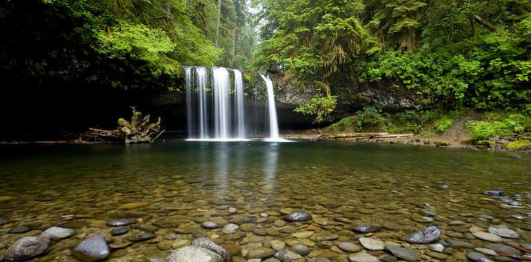 La biodiversidad mejora la calidad del agua