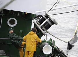 Greepeace pide a Arias Cañete que luche contra la sobrepesca