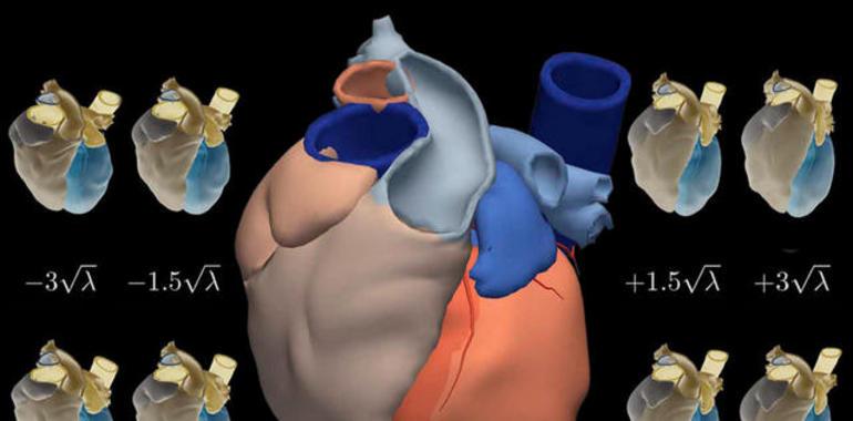 Consiguen el atlas en 3D del corazón humano