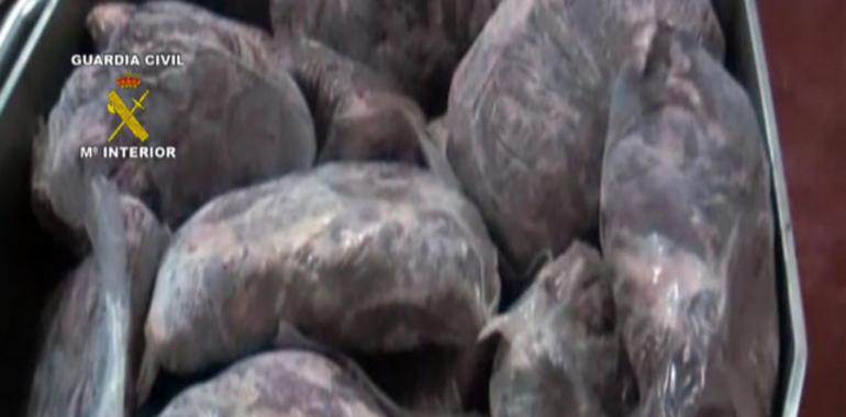 Once detenidos por venta ilegal de carne de caza