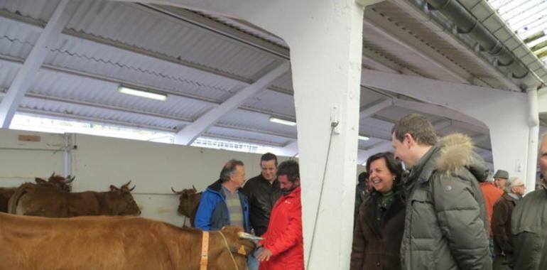 Agroganadería impulsa nuevas ayudas a jóvenes agricultores y a la modernización