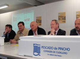 Los pexes de Cudillero se ponen 'pinchos'