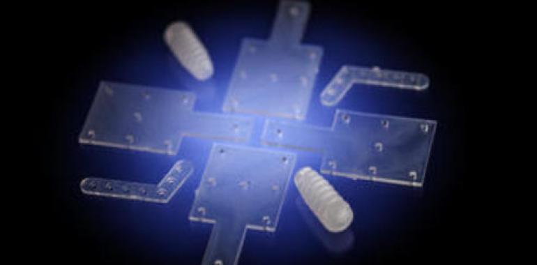 El biovidrio puede actuar de soporte en la regeneración ósea 