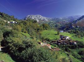 XVI Concursu de cuentos pola oficialidá del asturianu