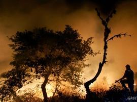 ¿Un buen año sin incendios forestales?