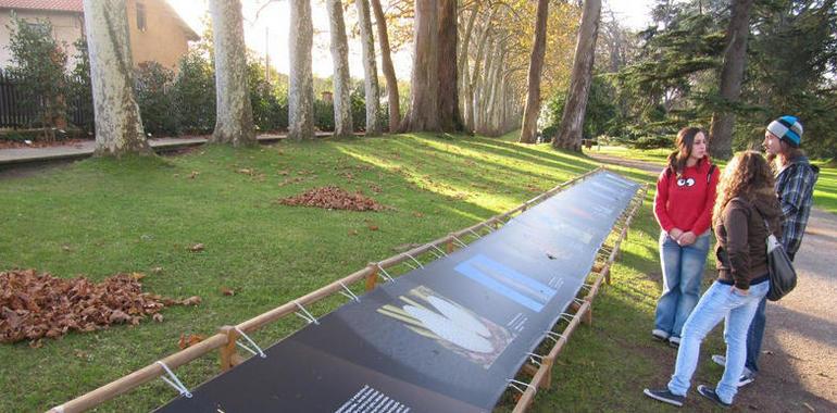 El Botánico presenta la octava edición de sus Noches Mágicas