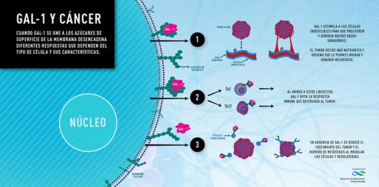 Bloqueo a una molécula clave que hace crecer el cáncer