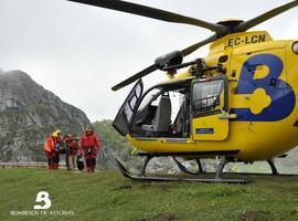 Trasladan a Arriondas a una mujer mancada en una pierna al caer del mirador de La Picota, en los Lagos 