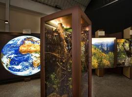 Exposición 'El bosque. Mucho más que madera', en Gijón