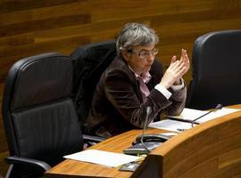 Educación destaca el esfuerzo desarrollado por los centros para abordar proyectos de mejora educativa