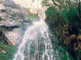 El Parque Natural de Ponga tendrá un nuevo Plan de Uso y Gestión