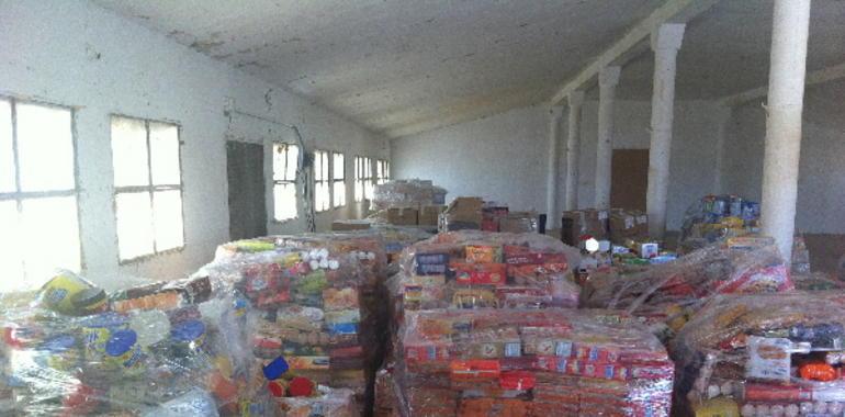 Mensajeros de la Paz supera el Record Guinness de Recogida de Alimentos