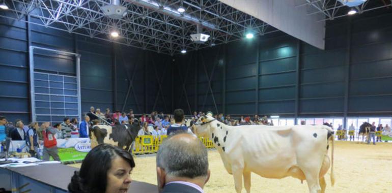 Asturias con buena leche frente a la cuchillada de la PAC