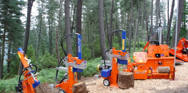 Asturforesta abre cita internacional en Tineo