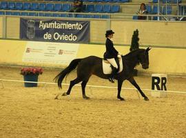 IU pide que se sancione a URBASER por la "desnutriciòn de los caballos del Asturcón