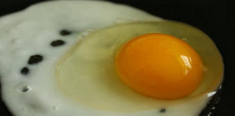 ¡Alegría para el probe! Comer huevos no se asocia con altos niveles de colesterol 