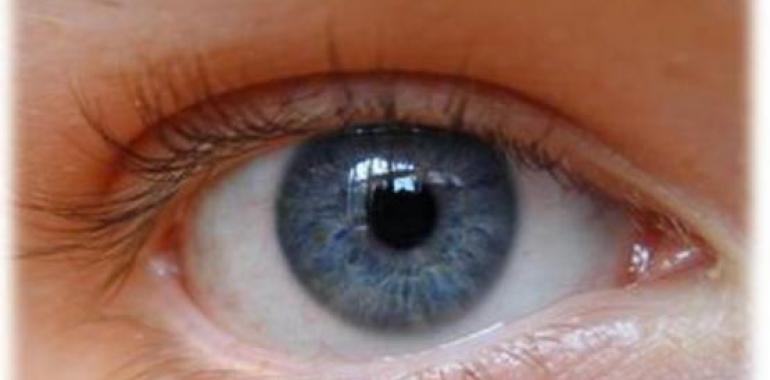 Nueva técnica para regenerar las células dañadas de la retina 