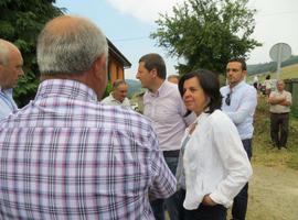 Agroganadería invierte 2,6 M€ en obras de caminos que dan acceso a una docena de pueblos de Tineo 