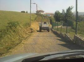 El Ayuntamiento adecenta el acceso al 'Zoo de Oviedo' 