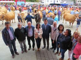 La cabaña autóctona de 'roxa' asciende a 95.206 cabezas, con 3968 criadores