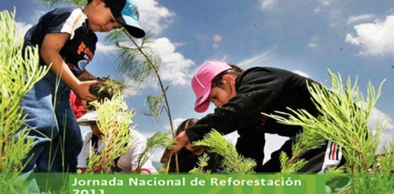 100 mil mexicanos plantan árboles en el día mundial contra la deforestación