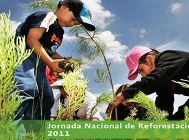 100 mil mexicanos plantan árboles en el día mundial contra la deforestación