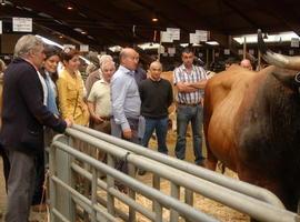 El PP pide la exención del impuesto sobre uso del agua a ganaderos, agricultores y otros colectivos