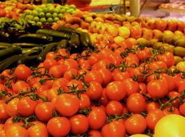 La balanza comercial de productos agrarios y pesqueros mejora en un 20 por ciento 