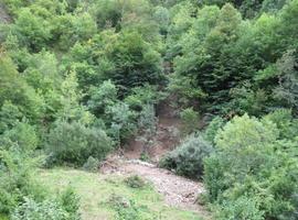 Denuncian un vertido de EDP al río Saliencia, en pleno Somiedo