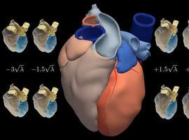 Los gijoneses podrán medir gratuitamente su riesgo cardiovascular durante toda la semana