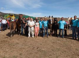Más de 1.500 caballos en la feria de  ‘San Mateo', en Reinosa